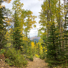 Herman Gulch, Colorado. September, 2018.