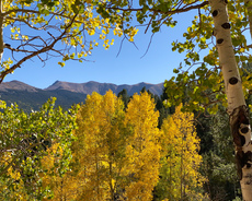 Catamount Trails near Pikes Peak, Colorado. October, 2019.