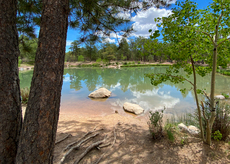 Fox Run Regional Park, Black Forest, Colorado. May, 2020