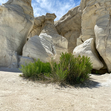 Paint Mines, Calhan, Colorado. June, 2020.