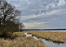 An assortment of photos from 2021